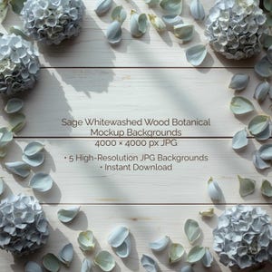 以下が含まれることがあります： 黒い持ち手と「But First, Coffee」の文字が黒い手書き風フォントで書かれた白いセラミックマグ。マグカップは白い表面に置かれています。