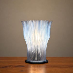 May include: A decorative table lamp with a unique, textured design. The lamp has a flared, translucent shade with vertical lines, and a black base. The lamp is lit from within, creating a soft glow. The lamp is on a wooden surface.