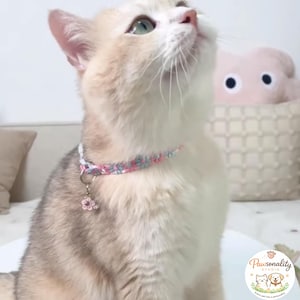 A light-colored cat wearing a floral print collar with a small flower charm. The collar features a repeating pattern of pink and blue flowers.