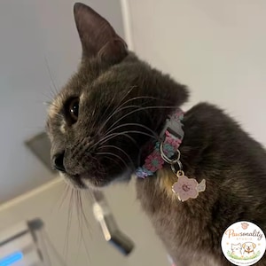 A dark gray cat wearing a floral collar with a pink flower charm visible. The collar features a gray plastic buckle and a floral pattern of pink, blue, and flower charm with golden bell.