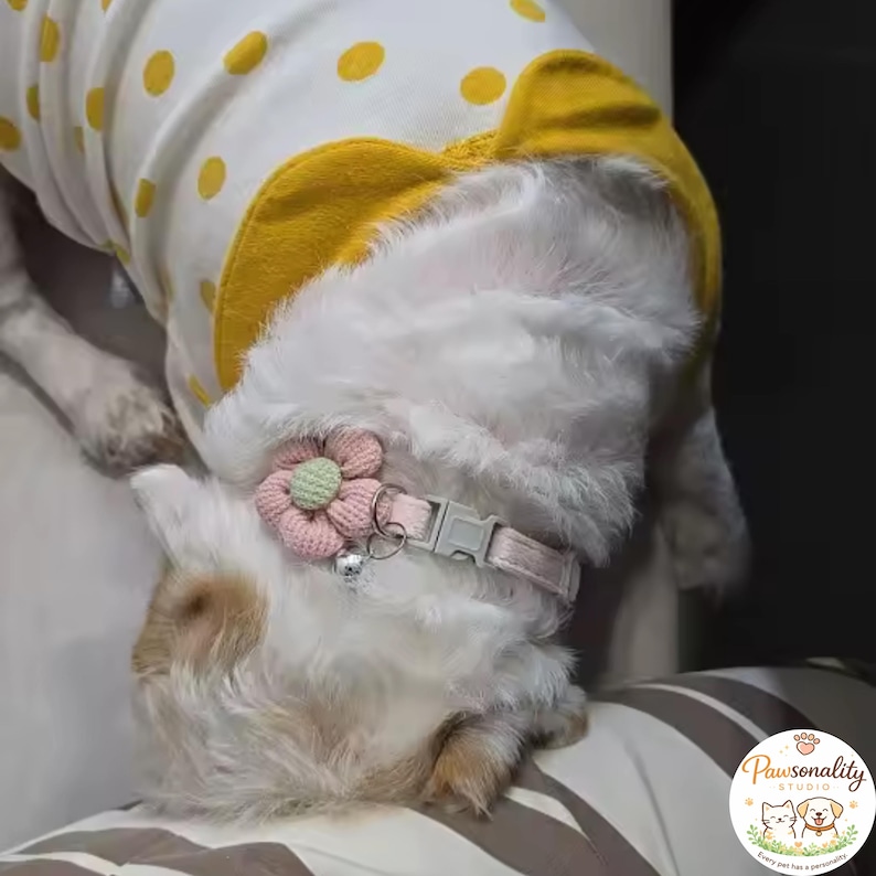 A fluffy white dog lying on its belly, with the pink knit flower collar visible around its neck