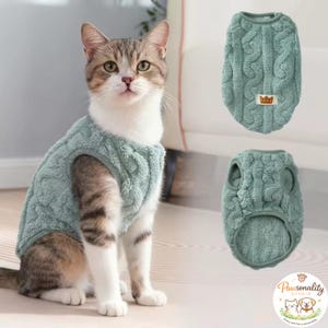 May include: A cat wearing a teal cable-knit sweater. The image also shows two additional sweaters of the same design. The sweaters have a small crown patch. The cat is white and gray with green eyes. The sweaters are designed for pets.