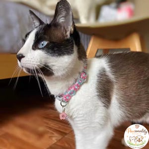 A black and white cat with blue eyes wearing a pink and blue floral collar with a pink flower charm. The cat is looking to the left. The collar is a pet accessory.