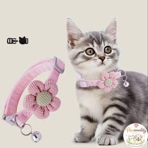 A gray and white tabby kitten sitting and looking forward, wearing the pink knit collar with the pink flower. The collar is made of soft material.