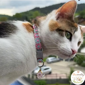 A calico cat wearing a pink and blue daisy- floral patternedcollar with a gray breakaway buckle and a flower charm.