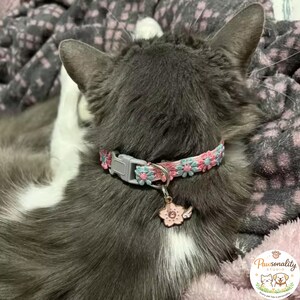 A rear view of a dark gray cat wearing a pink and blue floral collar with a gray buckle and a pink flower charm. The breakaway buckle sits flat against the back of the neck of the cat.