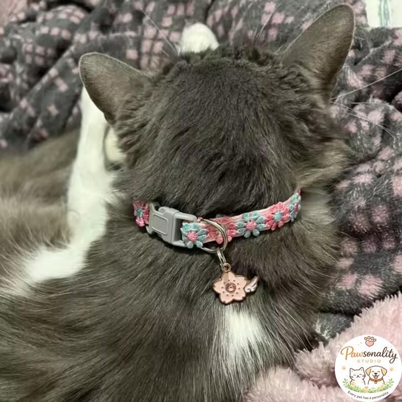 A rear view of a dark gray cat wearing a pink and blue floral collar with a gray buckle and a pink flower charm. The breakaway buckle sits flat against the back of the neck of the cat.