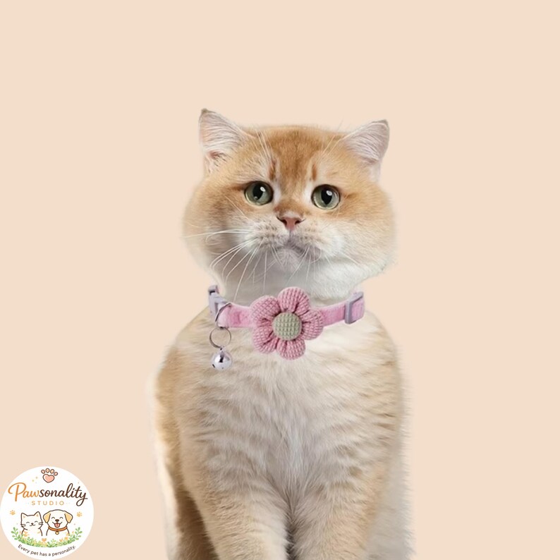 A golden-orange cat wearing a pink collar with a pink flower and a small bell. The flower has a light green center. The cat is centered in front of a light peach background.