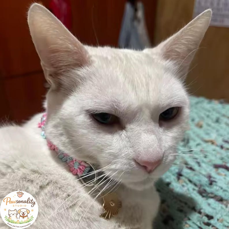 A white cat wearing a pink and blue floral collar with a gold-colored bell and pink flower charm. Floral collar against the cat's white fur