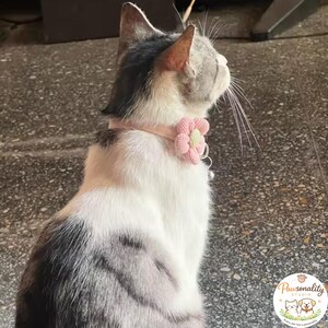 The profile view of a gray and white tabby cat from behind, looking up and right, highlighting the fit of the pink flower collar