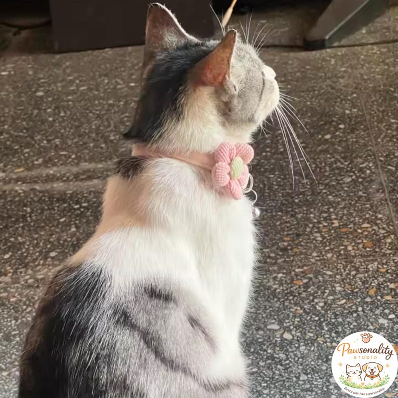 The profile view of a gray and white tabby cat from behind, looking up and right, highlighting the fit of the pink flower collar