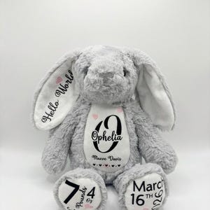 Hello world bunny plushies