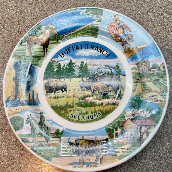 Super Cute Boho Buffalo Ranch, OK Souvenir Plate- colorful Americana- Route 66