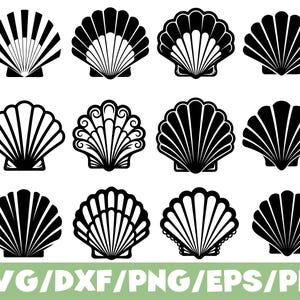 Puede incluir: Una colección de doce diseños de conchas marinas en blanco y negro. Cada concha presenta un patrón único de líneas y curvas, con variaciones en la forma y el estilo. La parte inferior de la imagen muestra el texto "SVG/DXF/PNG/EPS/PDF" en verde.
