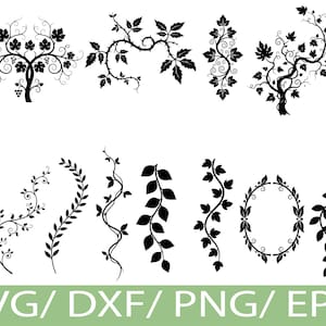 Blommig vinstock SVG silhuett bunt lövgren prydnad botanisk clipart