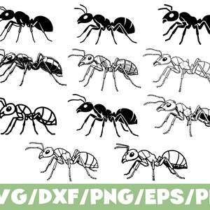 Peut inclure: Plusieurs illustrations de fourmis en noir et blanc, dans diverses poses. L'image présente différents styles de dessins de fourmis, certains en noir plein et d'autres avec des traits détaillés. Le texte "SVG/DXF/PNG/EPS/PDF" est affiché en vert en bas.