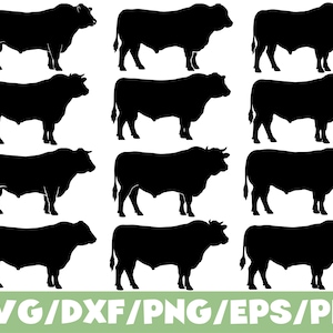 Op de afbeelding: Een verzameling van twaalf zwarte silhouetten van stieren, gerangschikt in een raster van vier bij drie. Elke stier is afgebeeld in zijaanzicht in een staande positie. Onderaan de afbeelding staat de witte tekst SVG/DXF/PNG/EPS/PDF op een groene balk.
