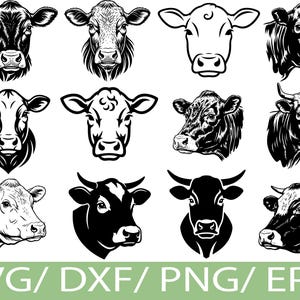 Puede incluir: Una colección de ilustraciones en blanco y negro de cabezas de vaca. Las imágenes varían en estilo, desde sombreados detallados hasta dibujos lineales simples. El texto "SVG / DXF / PNG / EPS" se muestra en la parte inferior en verde.