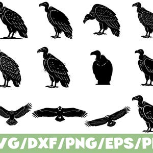 May include: Black and white illustrations of vultures in various poses. Some vultures are standing, others are in flight, and one is shown in silhouette. The text "SVG/DXF/PNG/EPS/PDF" is at the bottom in green.