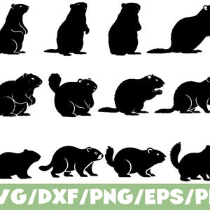 May include: A collection of black groundhog silhouettes in various poses. The groundhogs are depicted standing, sitting, and in profile, with their tails and bodies clearly defined. The image includes the text "SVG/DXF/PNG/EPS/PDF" at the bottom.