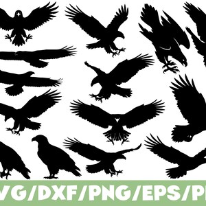 Puede incluir: Una colección de siluetas negras que muestran águilas en varias posiciones de vuelo, incluyendo planeando, en picado y posadas. La parte inferior de la imagen muestra el texto SVG/DXF/PNG/EPS/PDF en letras mayúsculas blancas sobre una barra verde.