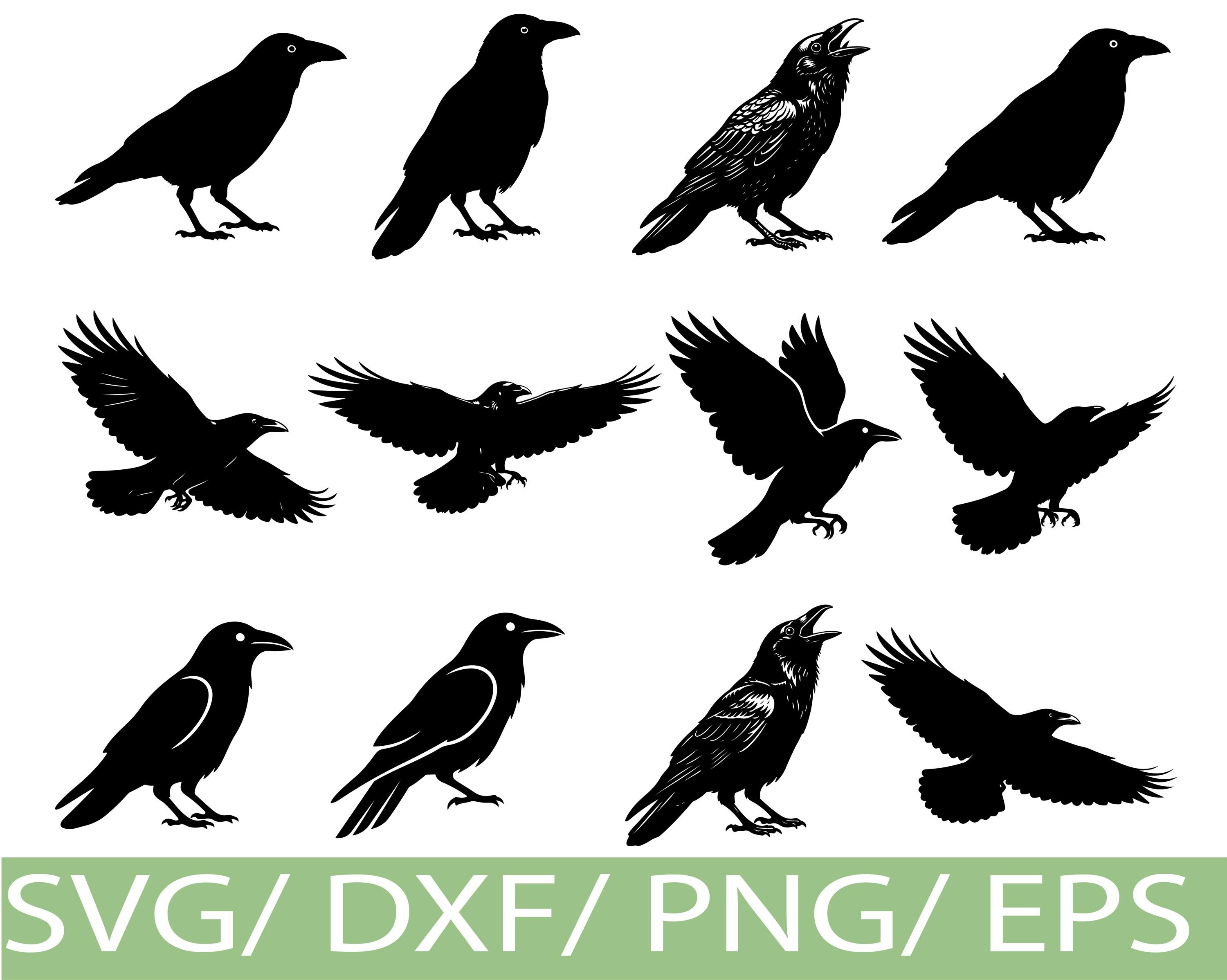 Crow SVG, Crow Silhouette Bundle, Dxf Png Eps - Etsy