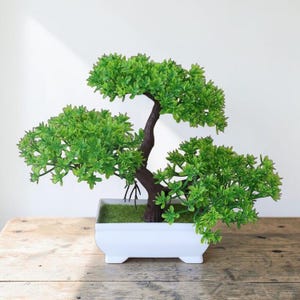 Può includere: Un piccolo bonsai artificiale con un fogliame verde brillante e un tronco marrone scuro. L'albero è piantato in un contenitore di ceramica rettangolare bianco. Il bonsai è un oggetto decorativo per la casa o l'ufficio.