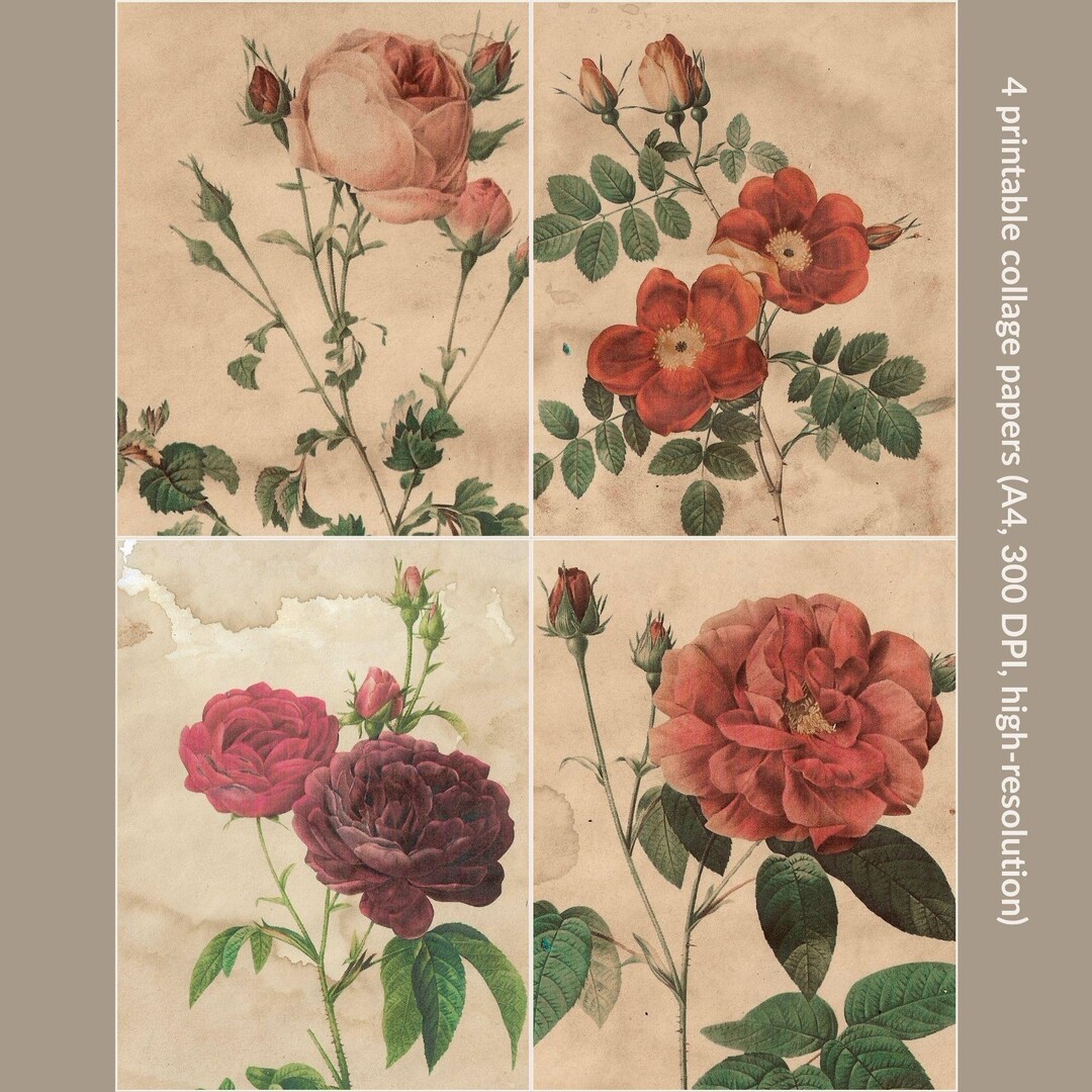 Printable Vintage Flower Collage Papers – Coffee Stained Botanical for ...