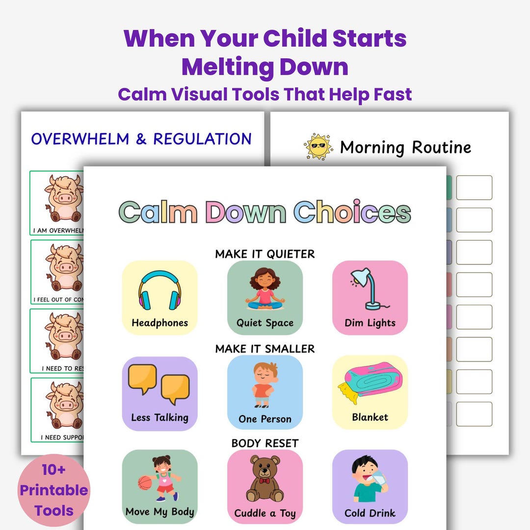 Meltdown Support Toolkit for Kids | Calm Visual Tools, Regulation Cards ...