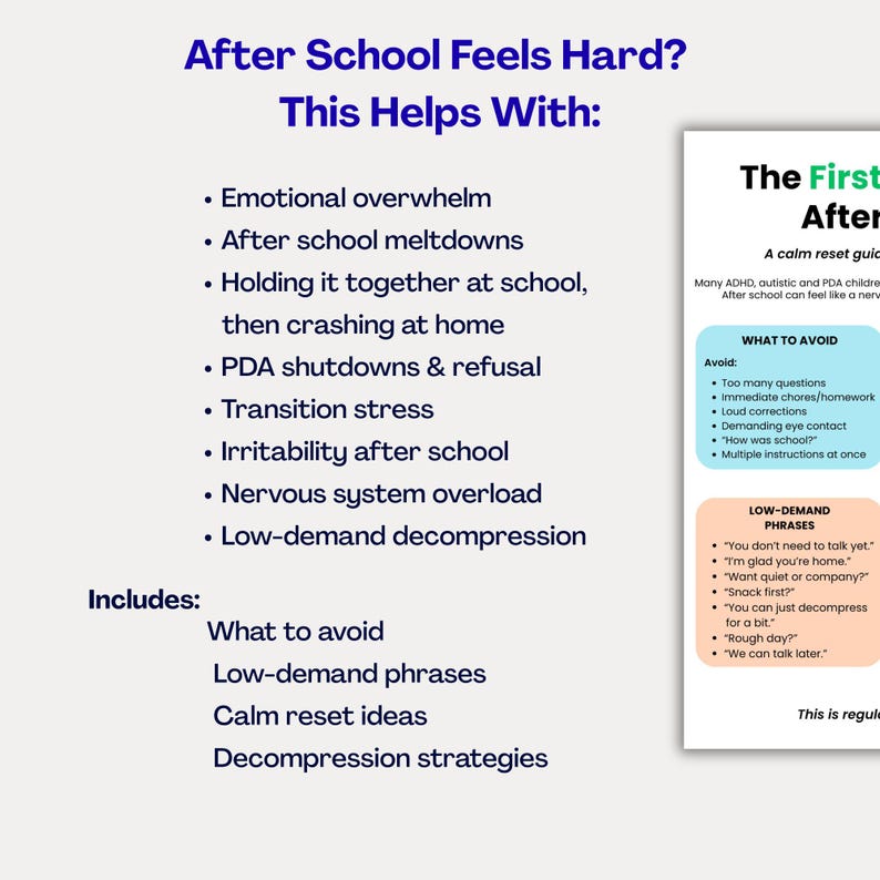 May include: A digital informational guide titled After School Feels Hard? This Helps With: listing challenges like emotional overwhelm, meltdowns, and transition stress. It includes sections on what to avoid and low-demand phrases for calm resets.