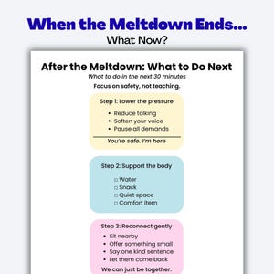 May include: A graphic with the text "When the Meltdown Ends... What Now?" and "After the Meltdown: What to Do Next." The graphic outlines steps to take after a meltdown, including lowering pressure, supporting the body, and reconnecting gently.
