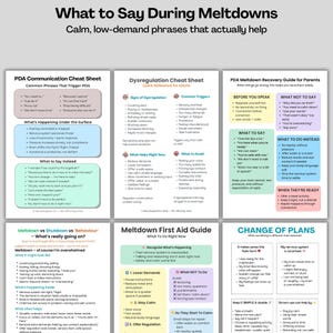 Puede incluir: Una infograf&iacute;a colorida titulada "What to Say During Meltdowns" con consejos para una comunicaci&oacute;n tranquila. Incluye secciones sobre PDA, desregulaci&oacute;n y recuperaci&oacute;n, ofreciendo frases y estrategias para adultos y padres. La imagen est&aacute; dise&ntilde;ada para ayudar a gestionar las respuestas emocionales.