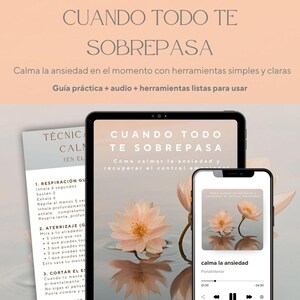 High Anxiety: How to Calm Yourself When Everything Overwhelms You | Emotional Regulation + Audio | Guide + Journal + Practical Tools PDF