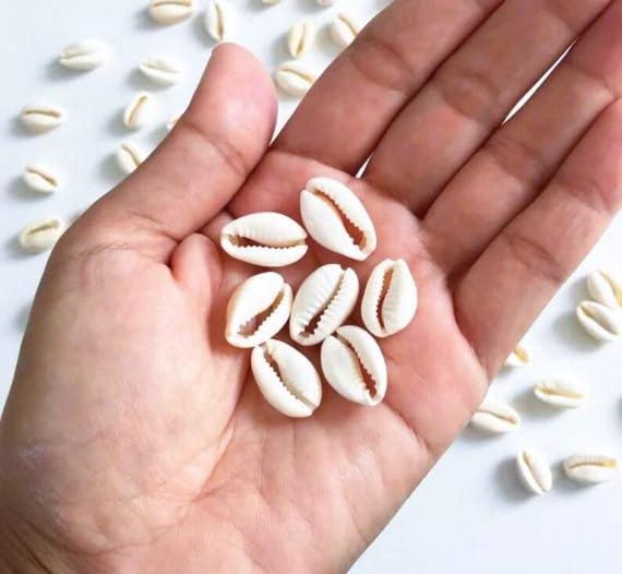 Yellow Cowrie Shells: Lakshmi Pooja Set of 11
