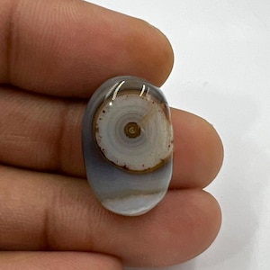 以下が含まれることがあります： 滑らかで光沢のある表面を持つ楕円形のカボションカットの宝石。半透明のライトグレーのベースに、白、タン、そして小さなダークブラウンの芯からなる同心円状の独特な円形模様が中央に描かれています。