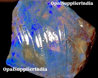Shell Opal Fossils – [ O.145] - Etsy Australia
