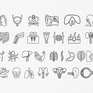 Peut inclure: Ensemble d'illustrations en noir et blanc de parties du corps humain, notamment le cœur, le cerveau, les poumons et le squelette. Les images sont simples et stylisées, adaptées aux designs éducatifs ou médicaux.