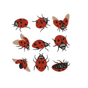 May include: A collection of nine embroidered ladybug illustrations in various poses. Each ladybug features a vibrant red body with distinct black spots, a black head, and grey accents. Some are shown with wings spread, others closed, and one is upside down.