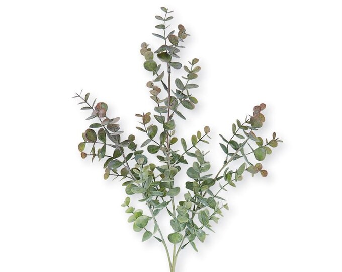 EUCALYPTUS LEAF BRANCH Floral Botanical Garden Decorations Etsy