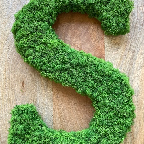 Large Moss Letters/numbers/symbols 12 to 24 Choose Any - Etsy