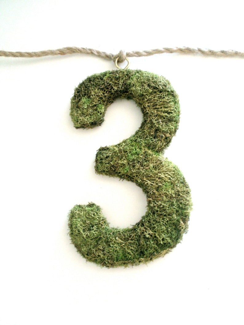 10 Hanging Moss Letter/Symbol Choose any Letter/Number and/or select symbols Jute Garland