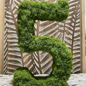 May include: A large, green moss-covered number five stands on a woven surface, set against a wooden background with a carved leaf pattern. The number is a vibrant, natural green.