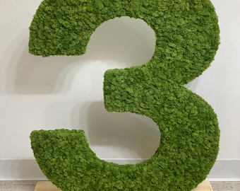 3 Foot Tall Custom Moss Letter C