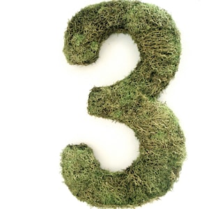 10 Hanging Moss Letter/Symbol Choose any Letter/Number and/or select symbols Wall Hanging Hook