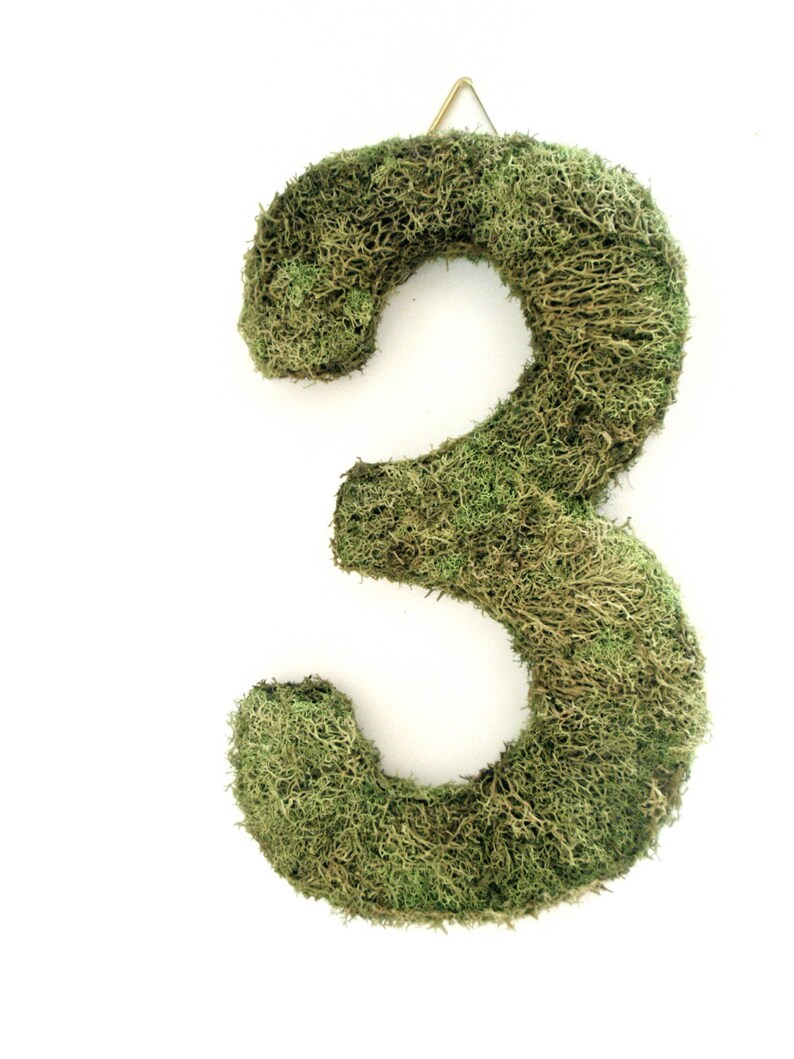 10 Hanging Moss Letter/Symbol Choose any Letter/Number and/or select symbols Wall Hanging Hook