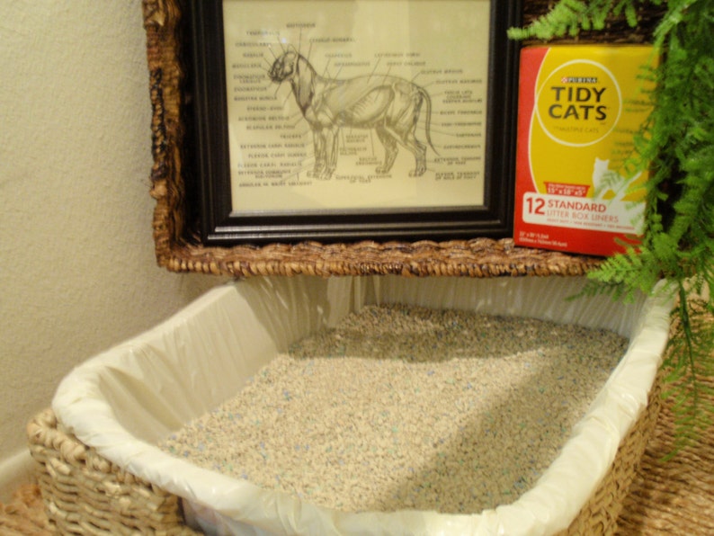Zen Cat Litter Box Set Cat Litter Box for the Natural Home Etsy