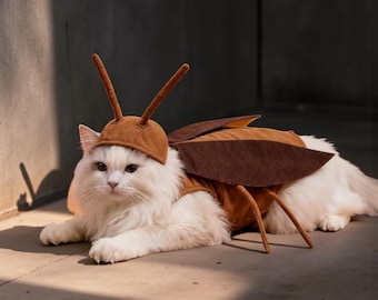 Disfraz de cucaracha para gato y perro, atuendo de Halloween para mascotas, insecto, disfraz divertido para mascotas