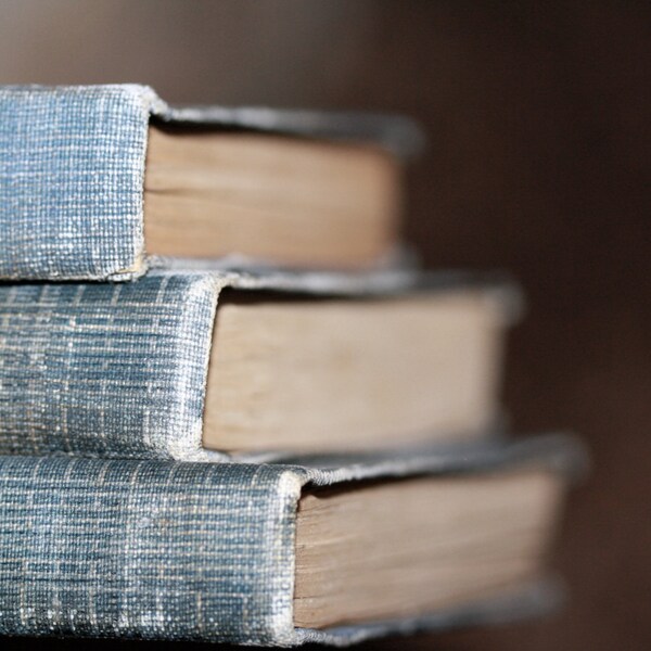 Shabby Chic Vintage Mini Book Collection Photography Prop Home Decor