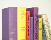 Half Foot Vintage Colorful Book Collection Home Decor Vintage Reading