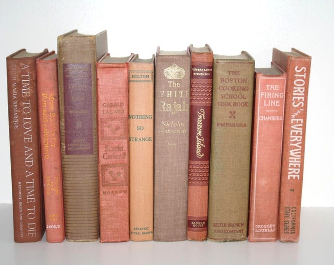 Beige Rose Red Books 10 Instant Library Collection Interior Etsy